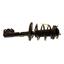 Suspension Strut and Coil Spring Assembly KY SR4252