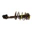 Suspension Strut and Coil Spring Assembly KY SR4259