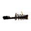 Suspension Strut and Coil Spring Assembly KY SR4264