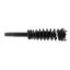 Suspension Strut and Coil Spring Assembly KY SR4269