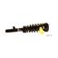 Suspension Strut and Coil Spring Assembly KY SR4272