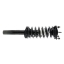 Suspension Strut and Coil Spring Assembly KY SR4428