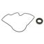 Engine Oil Pump Seal MM 82572