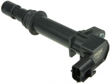 Ignition Coil NG 48651