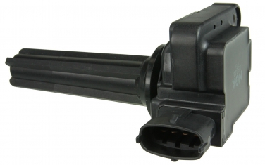 Ignition Coil NG 48690