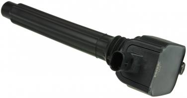 Ignition Coil NG 48755