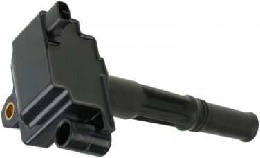 Ignition Coil NG 48838