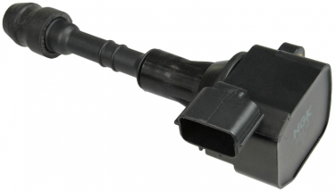 Ignition Coil NG 48845