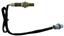 Oxygen Sensor NO 21548