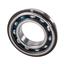 Axle Shaft Bearing NS 106-FL