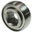 Bearings NS DC-208-TT5