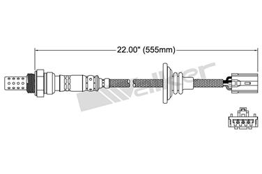 Oxygen Sensor O2 250-24017