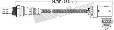 Oxygen Sensor O2 250-241132