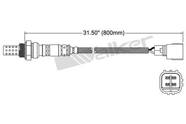 Oxygen Sensor O2 250-24137