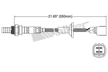 Oxygen Sensor O2 250-24213