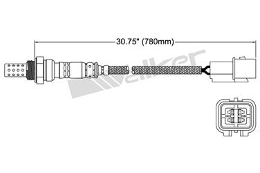 Oxygen Sensor O2 250-24242