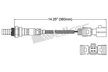 Oxygen Sensor O2 250-24420