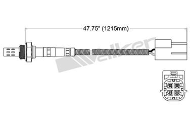 Oxygen Sensor O2 250-24449