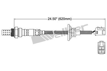 Oxygen Sensor O2 250-24484