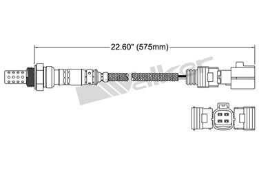 Oxygen Sensor O2 250-24870