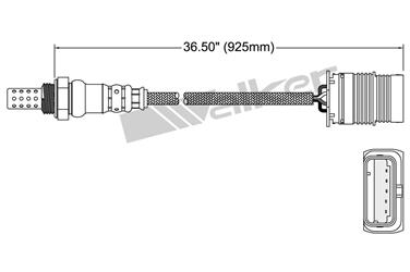 Oxygen Sensor O2 250-24993