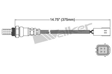 Oxygen Sensor O2 250-24996