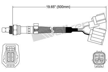 Oxygen Sensor O2 250-25068