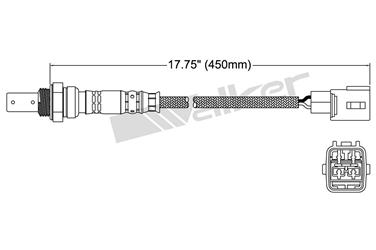 Oxygen Sensor O2 250-54003