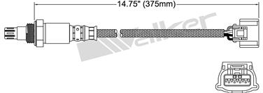 Oxygen Sensor O2 250-54102