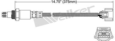 Oxygen Sensor O2 250-54103