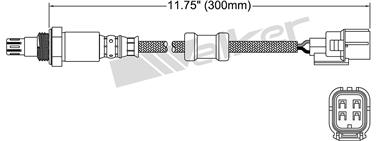 Oxygen Sensor O2 250-54111