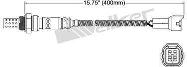 Oxygen Sensor O2 350-34043