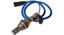 Oxygen Sensor O2 250-21024