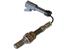 Oxygen Sensor O2 250-21029