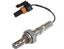 Oxygen Sensor O2 250-21030