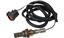 Oxygen Sensor O2 250-22004