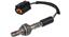 Oxygen Sensor O2 250-22064