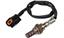 Oxygen Sensor O2 250-22067