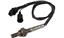 Oxygen Sensor O2 250-23032