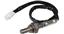 Oxygen Sensor O2 250-23091