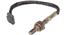 Oxygen Sensor O2 250-23129