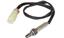 Oxygen Sensor O2 250-23802