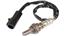 Oxygen Sensor O2 250-24001