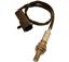 Oxygen Sensor O2 250-24002