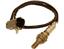 Oxygen Sensor O2 250-24003