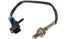 Oxygen Sensor O2 250-24018