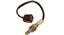 Oxygen Sensor O2 250-24020