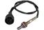 Oxygen Sensor O2 250-24024