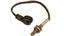 Oxygen Sensor O2 250-24038