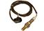 Oxygen Sensor O2 250-24075